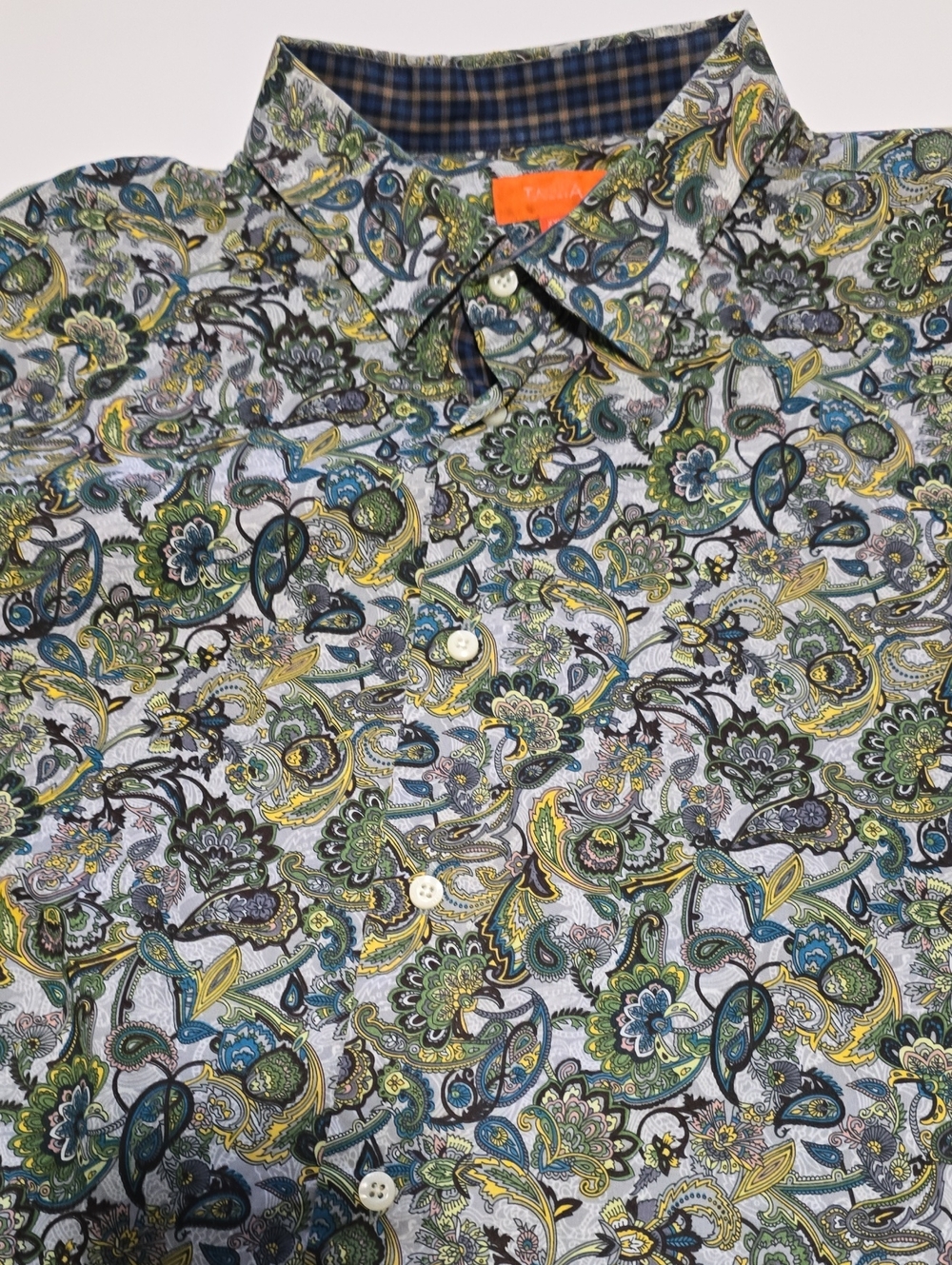TALLIA Paisley Button-Down Long Sleeve Shirt in Green and Blue